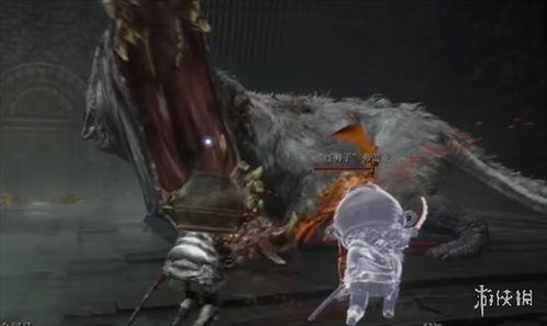 艾尔登法环DLC速通秘籍：见弃空洞者大空洞开荒攻略解析