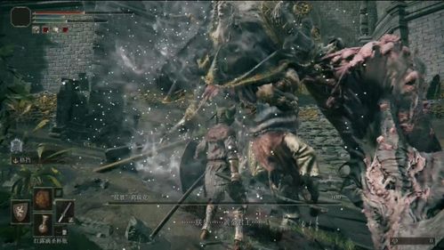 《艾尔登法环》复仇者新玩法深度解析，揭秘黑夜君临独特魅力