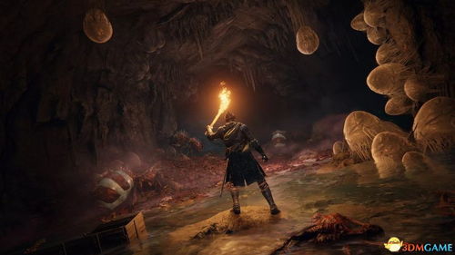 《艾尔登法环》DLC探秘：见弃空洞者藏匿水晶秘境攻略