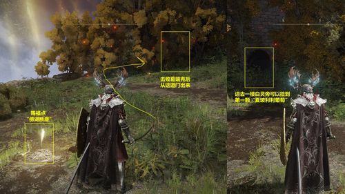 艾尔登法环盲眼女巫海妲独门秘籍：夏玻利利葡萄轻松得