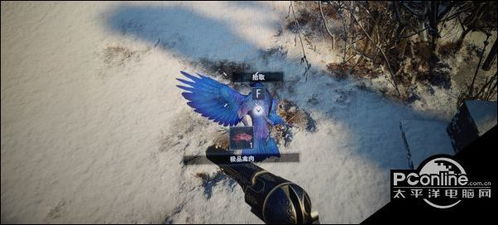 《生化危机8》宝箱全解析：河畔宝库开启攻略深度揭秘