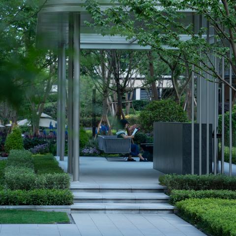 《绿林传奇》新手攻略：掌握基础操作，解锁冒险新篇章