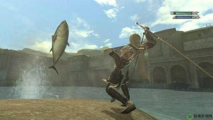 《尼尔伪装者》捕鱼攻略：鱼类分布与诱饵秘籍大公开