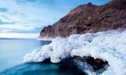 飞流域秘境探秘：33号远征队不明日志新发现