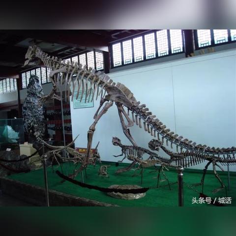 蔚蓝星球APP微信互通揭秘，解锁社交新价值