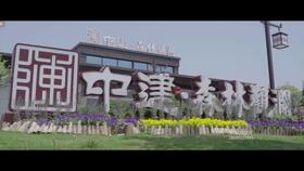 《探秘光影33号：揭秘不可思议宅邸与舞头精奇遇记》