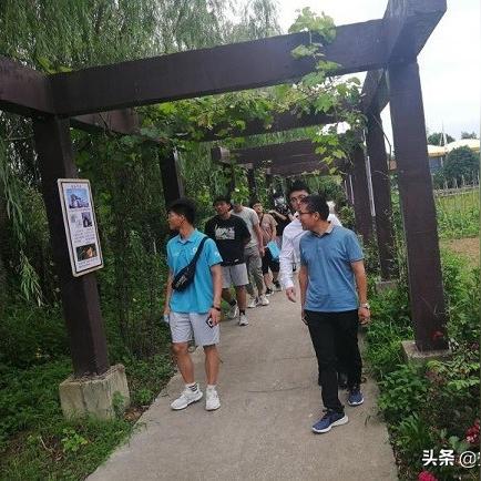 最新版Minecraft废弃矿井寻宝攻略，解锁神秘宝藏新玩法