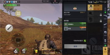 阿比尼亚草获取攻略：揭秘高效采集新技巧