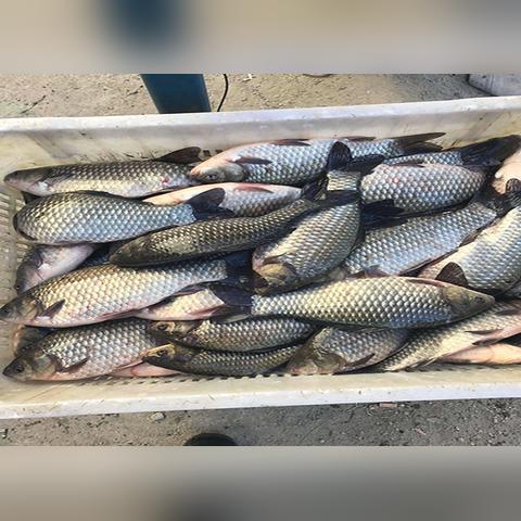 请选择游戏大区关闭？2025玩家必知的隐秘风暴与速攻战术