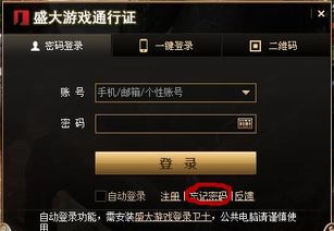 盛大彩虹在线，如何用战牧法三角打爆跨服战场？附2025实战录像)
