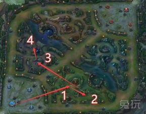 蕈兽扫荡攻略：高效路线解析，轻松通关新捷径