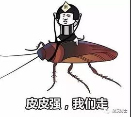 豪宅蟑螂肆虐，林青霞上演惊心动魄“人螂大战”惊悚升级