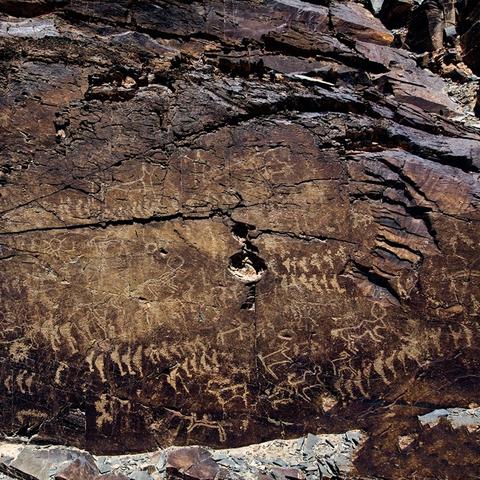 《巫师3》全隐藏任务攻略：揭秘触发地点与概要汇总