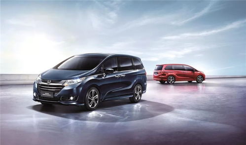 奥德赛独家揭秘：全船员招募秘境攻略新发现