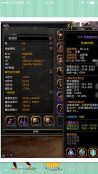 龙之谷多玩网，2025年你的终极战力跃迁秘籍何在？权威专家在线揭晓！