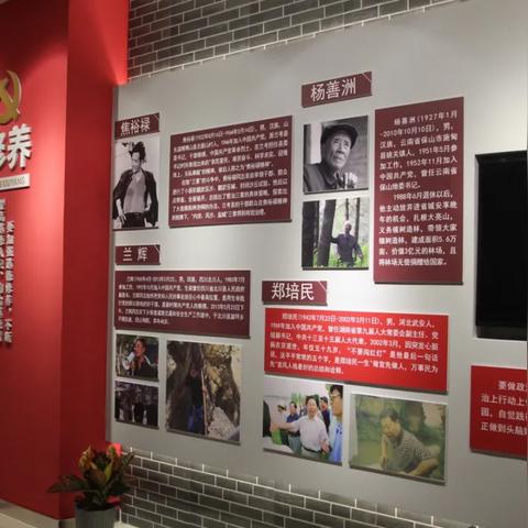 《外来媳妇本地郎》25年传奇终章，传承家族新篇章