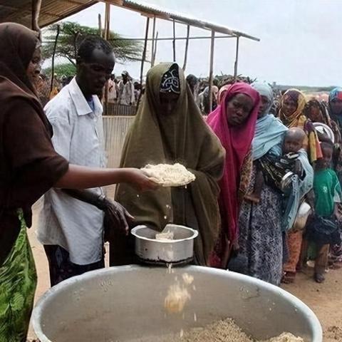 《饥荒》生存攻略：揭秘新手快速升级新技巧