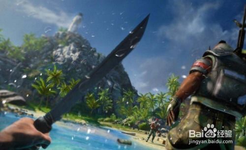 孤岛求生秘籍：深度解析《孤岛惊魂3》生存攻略