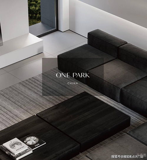 龙之骨的核心价值与常见痛点