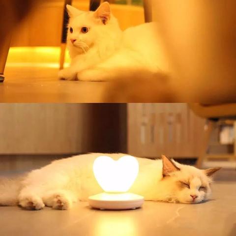 《鹅鸭杀》加拿大鹅攻略：高效玩法技巧解析，轻松制胜之道