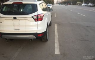 自驾险境：矮车身女子遇猛虎追击，惊现惊险追车咬漆瞬间