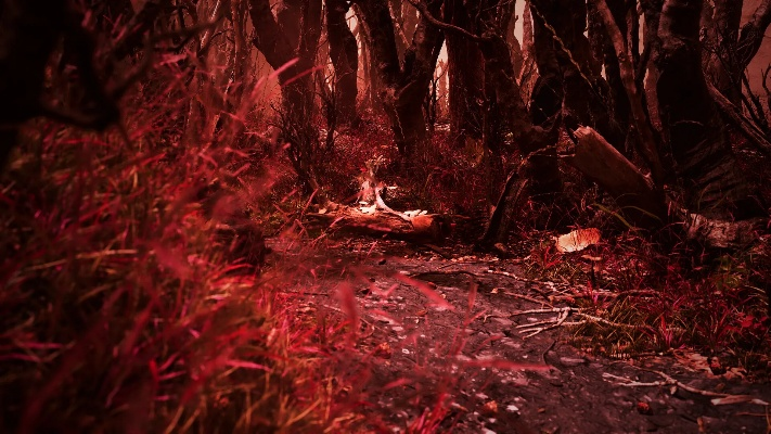 探寻幽境：FS社遗世和风惊悚秘闻录