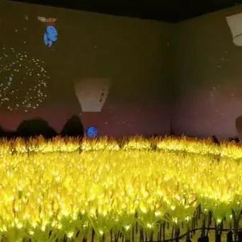 探索无画面游戏：揭秘沉浸式互动体验新境界