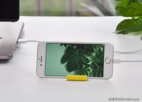 苹果取卡针回收价超300元 官方澄清非铂金材质新揭秘