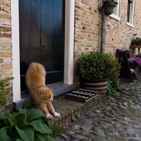 《堡垒之夜》宝藏图寻宝秘籍：废弃仓库宝藏点攻略解析