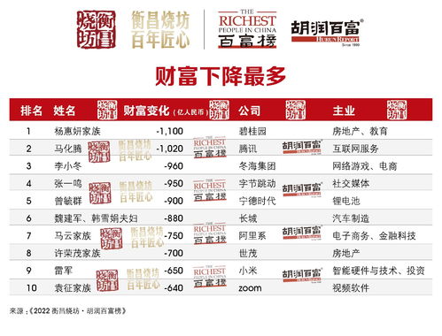 盛大富翁官网，2025年财富秘籍如何一键解锁？