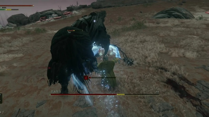 《艾尔登法环》翘臀送葬者，勾勒黑夜完美曲线艺术