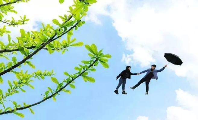 花香采集奇遇记，揭秘小人国天气奥秘