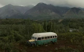 寒潮预警！张家界荒野求生赛紧急叫停，防失温刻不容缓