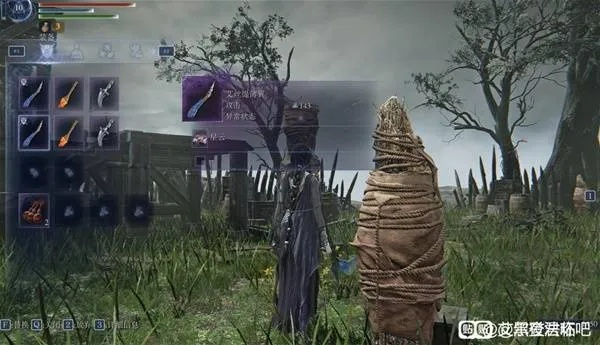 艾尔登法环修女双小曲伤害解析，深度剖析全新攻略