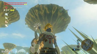 塞尔达无双拉聂尔湿地净化战攻略：高效通关秘籍大公开