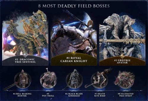 艾尔登法环女爵技能解析：黑夜君临职业定位与全新价值解读