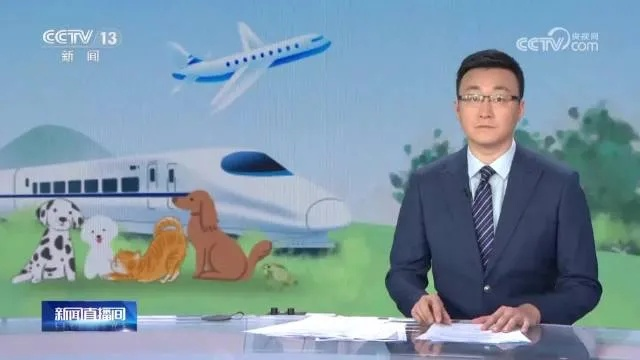 高铁禁带宠物鼠引热议，12306明确回应：坚决不允许！