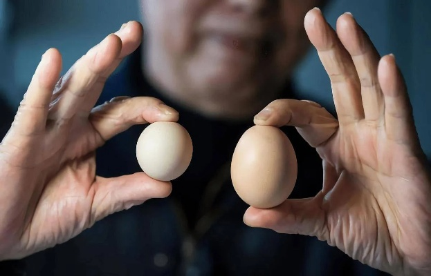 五年狂吃40蛋，医生警示：健康风险高，速查真相！