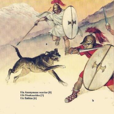 ko堂官网，2025年终极玩家门户为何一开即赢？权威探秘热点