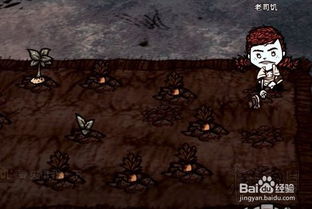 《饥荒》暴食盛宴秘籍：全面解锁全食物制作攻略