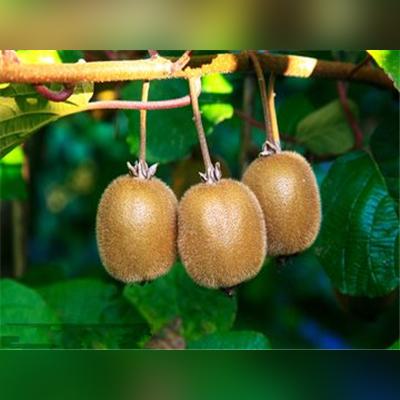 传奇归来玩家论坛，2025玩家如何逆袭？独家战力飙升秘籍曝光