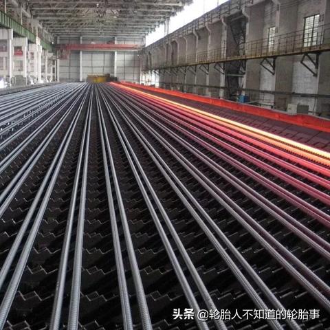 《诞生深度解析：揭秘世界构建与生物进化奥秘》