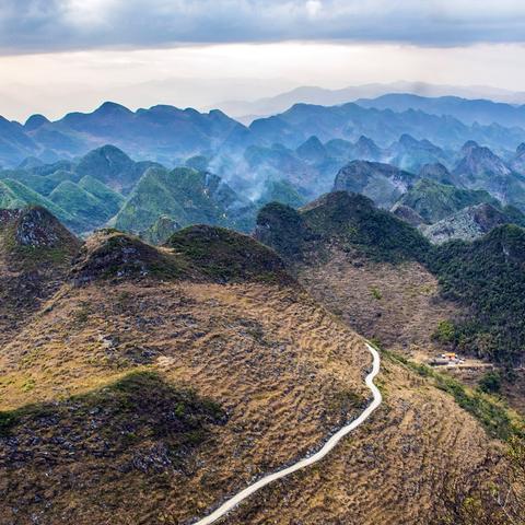 真女菩萨松鼠女声援山火灾民，福利照助力爱心募捐