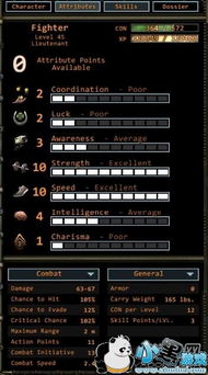 废土2职业武器饰品深度解析：打造个性化战斗风格指南