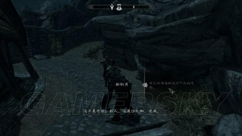 上古卷轴5天际：战友团攻略秘籍，解锁神秘新技能