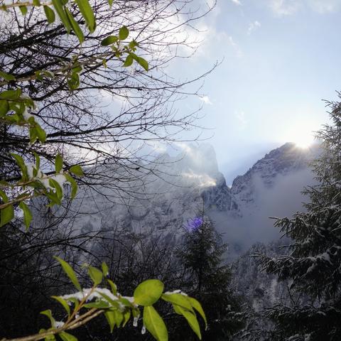 深度体验圣域3：揭秘全新战斗策略攻略