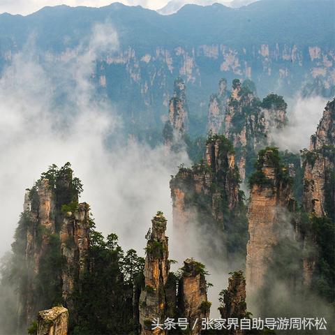 探索未知，阿凡达世界之门开启