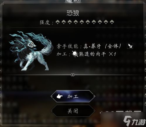 《八方旅人2》猎宠攻略：深度解析新宠物养成秘籍