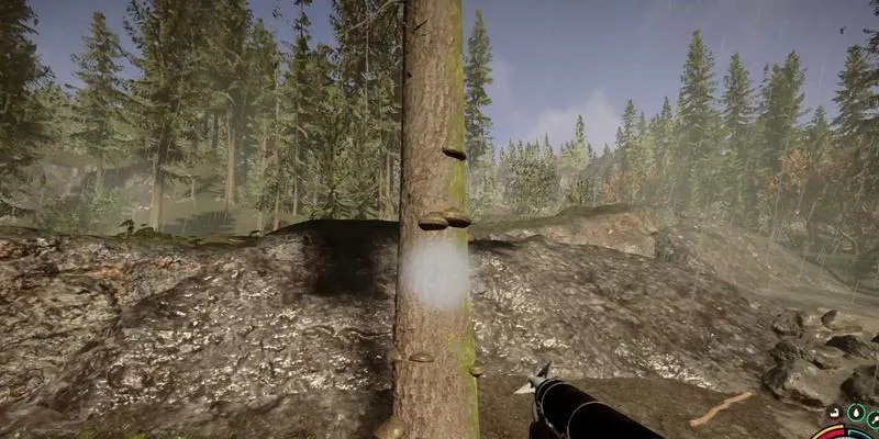 《森林之子》高效刷木头攻略：解锁无限资源新技巧