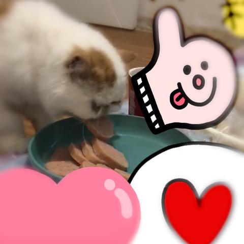 男友深夜喂药，女子惊醒堕胎，孩子不幸离世